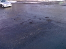 prol1_20091101_1039359921.jpg