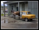 zaporikon_20091216_1866148310.jpg