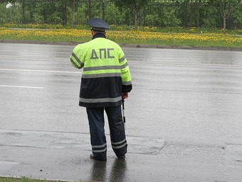 Женщина заплатит 20 тысяч рублей за покусанного гаишника - автоновости
